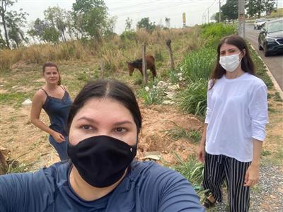 Foto da Notícia: Comissão da OAB-MT participa do resgate de cavalo atropelado e requer providências aos órgãos responsáveis